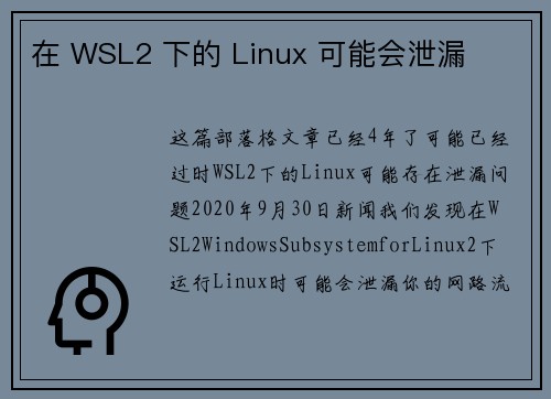 在 WSL2 下的 Linux 可能会泄漏